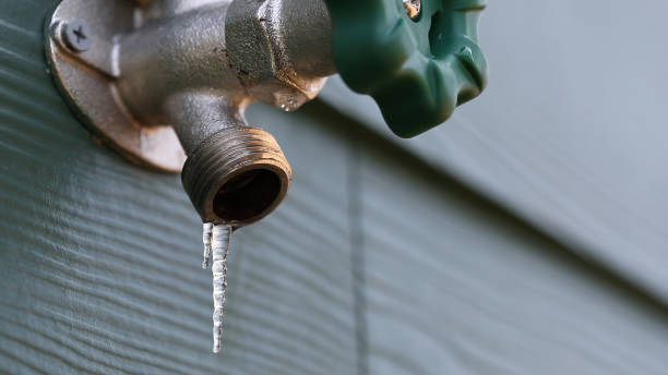 Best Shower Repair Services  in Malabar, FL
